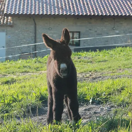 Maison d'hôtes La Casa Vieja 3*