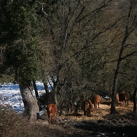 La Casa Vieja Casa de hóspedes Maturana