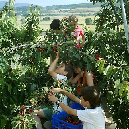 La Casa Vieja Матурана