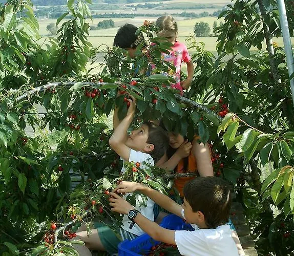 La Casa Vieja Maturana