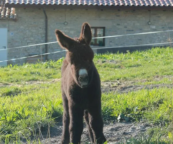 Pensión La Casa Vieja 3*